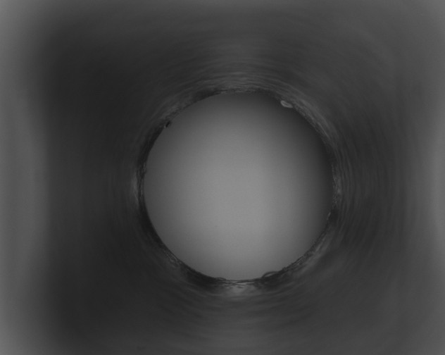 X0000100890333200806241014
