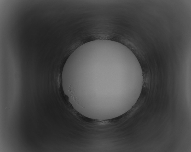 X0000100890334200806241014