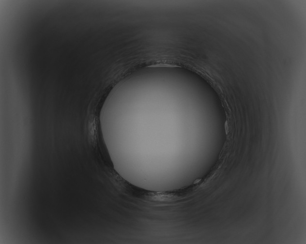 X0000100890336200806241014