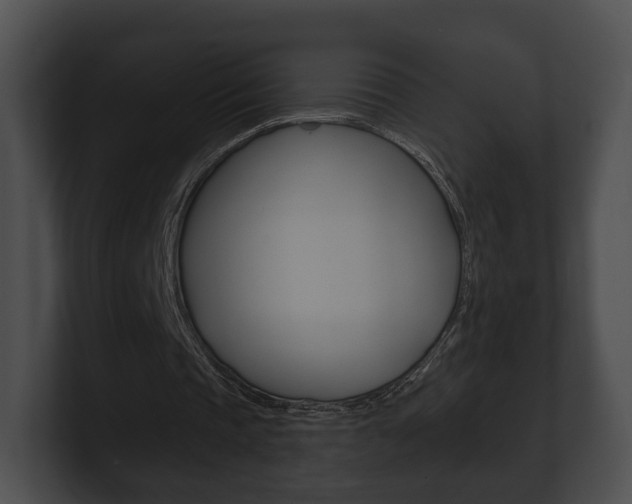 X0000100890337200806241013
