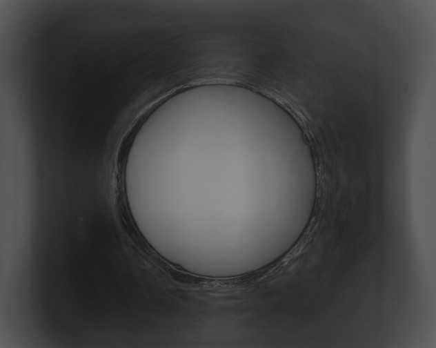 X0000100890338200806241013