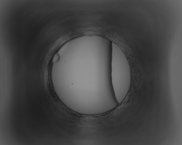 X0000100890339200806241013