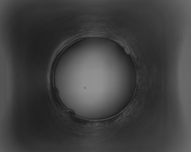 X0000100890340200806241013