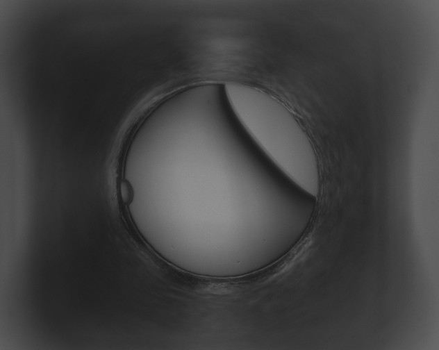 X0000100890341200806241013