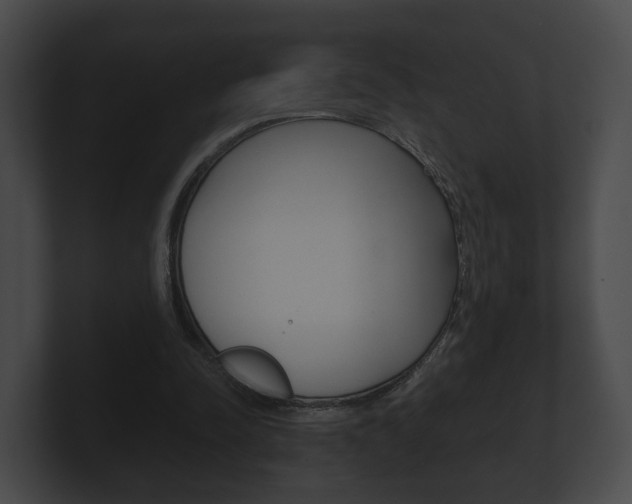X0000100890342200806241013