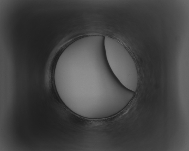 X0000100890343200806241013
