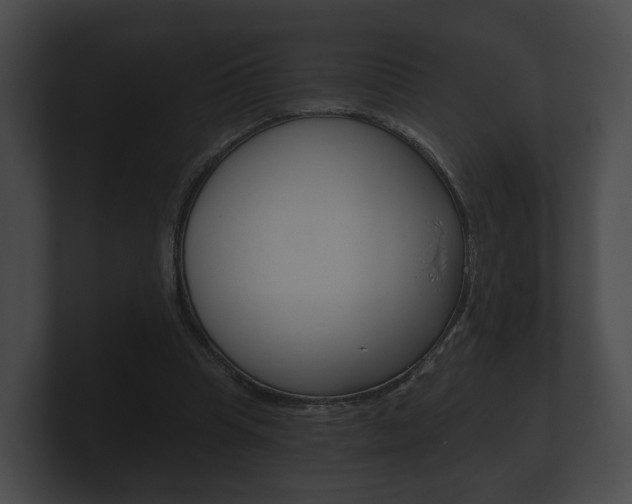 X0000100890345200806241014