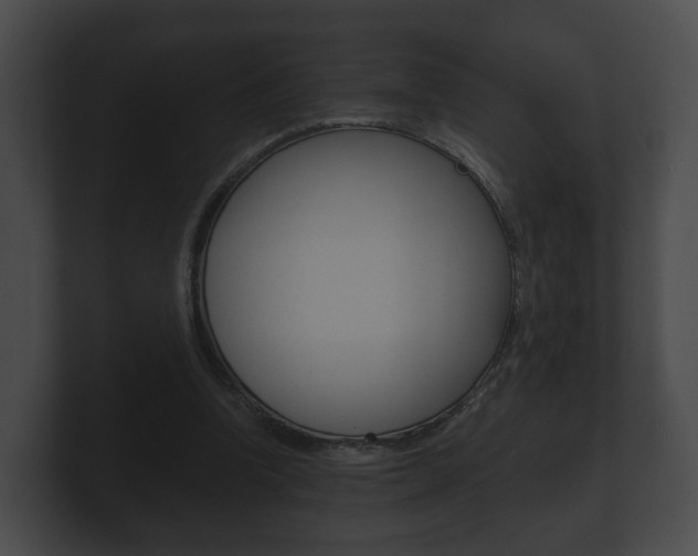 X0000100890346200806241014