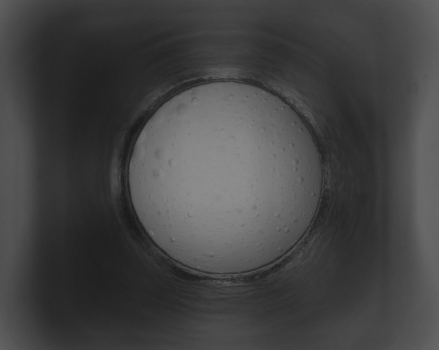 X0000100890347200806241014