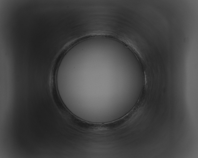 X0000100890348200806241014