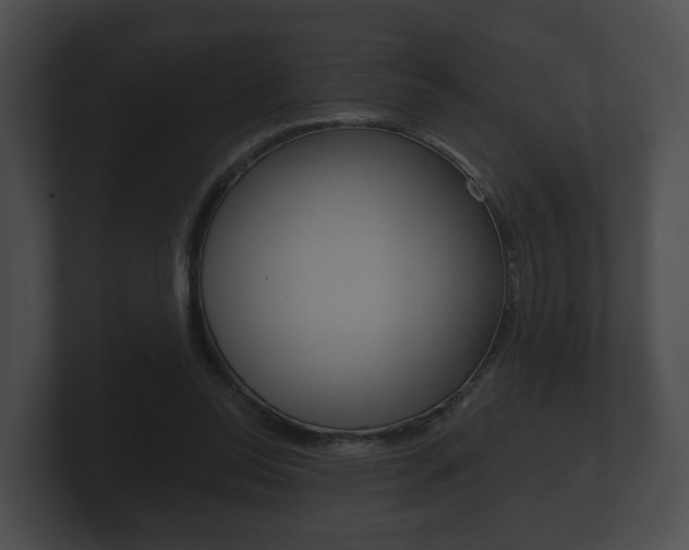 X0000100890350200806241014