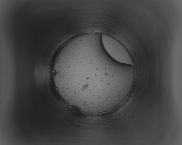 X0000100890351200806241014