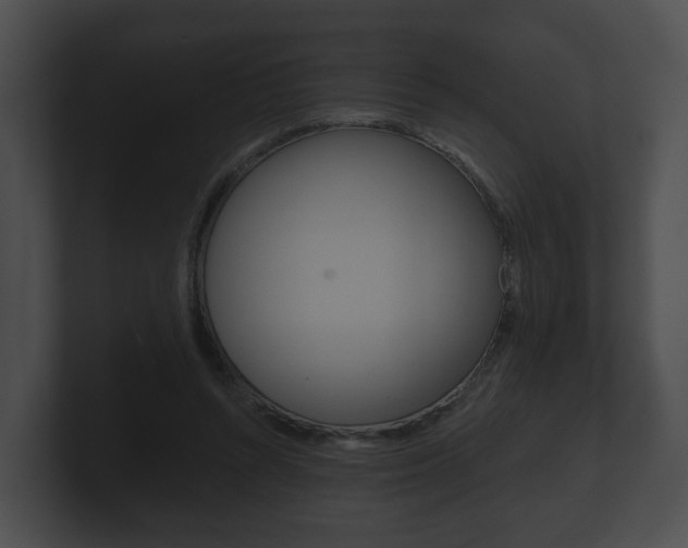 X0000100890352200806241014