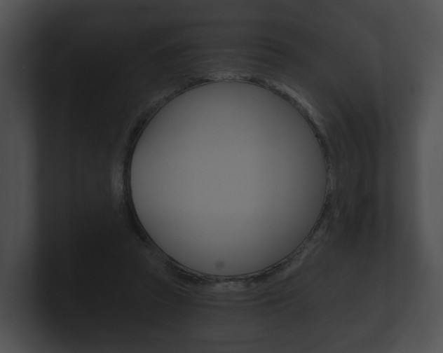 X0000100890353200806241014