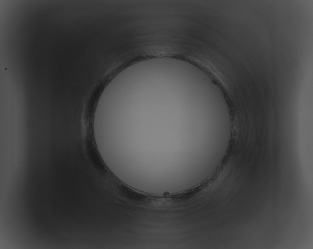 X0000100890355200806241014
