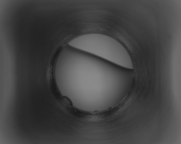 X0000100890356200806241014