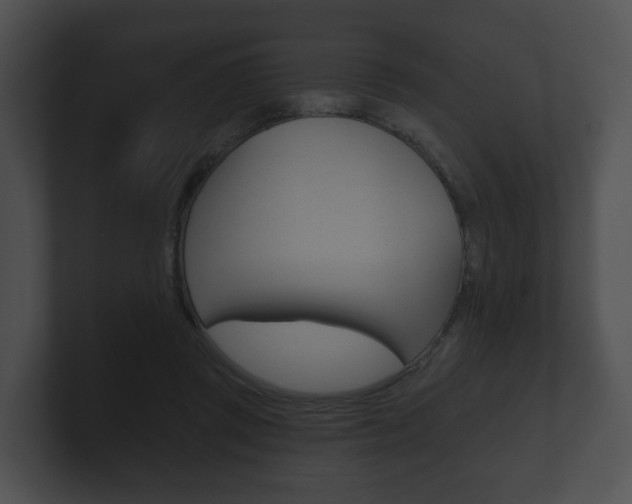 X0000100890357200806241014