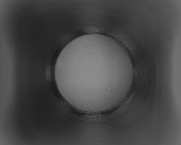 X0000100890359200806241014