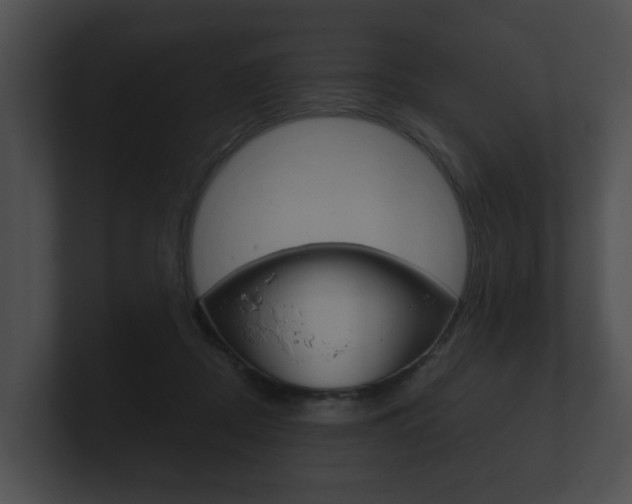 X0000100890362200806241014