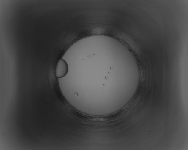 X0000100890363200806241014