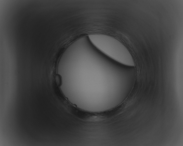 X0000100890364200806241014