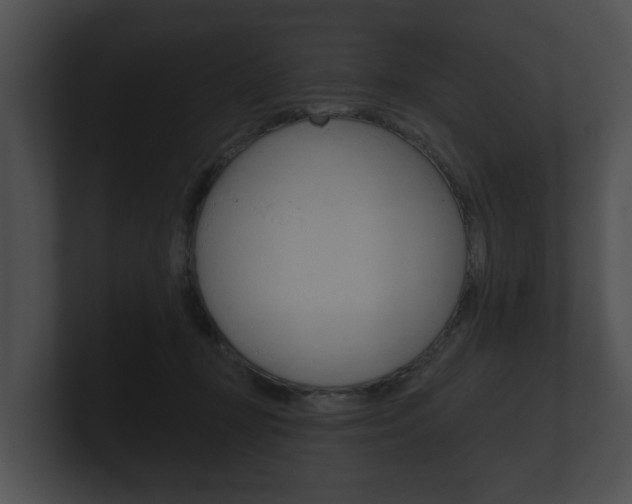 X0000100890367200806241014