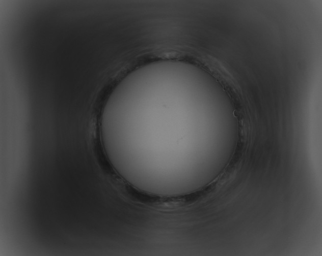 X0000100890368200806241014