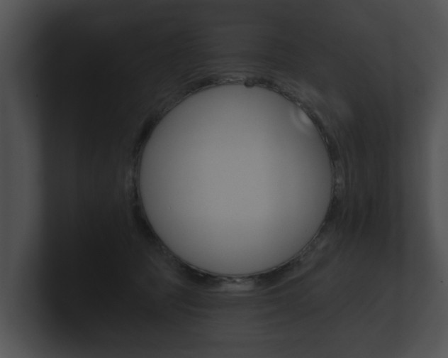 X0000100890369200806241014