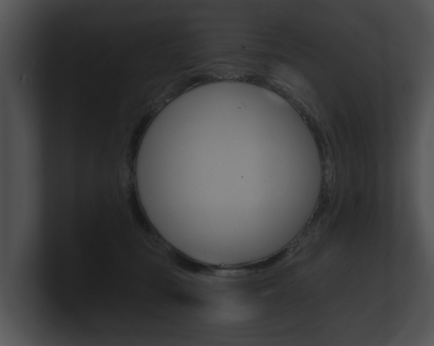 X0000100890371200806241014