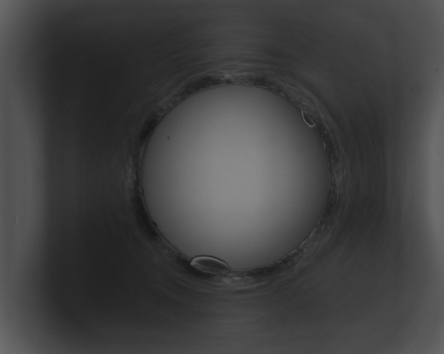 X0000100890372200806241014