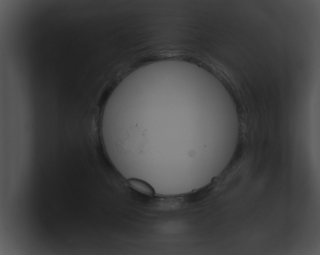X0000100890373200806241014
