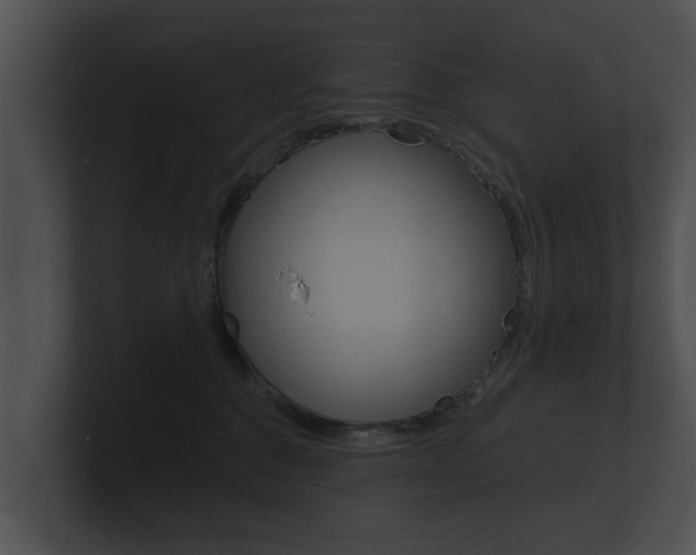X0000100890376200806241014