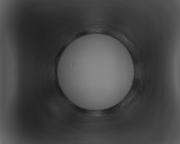 X0000100890377200806241014