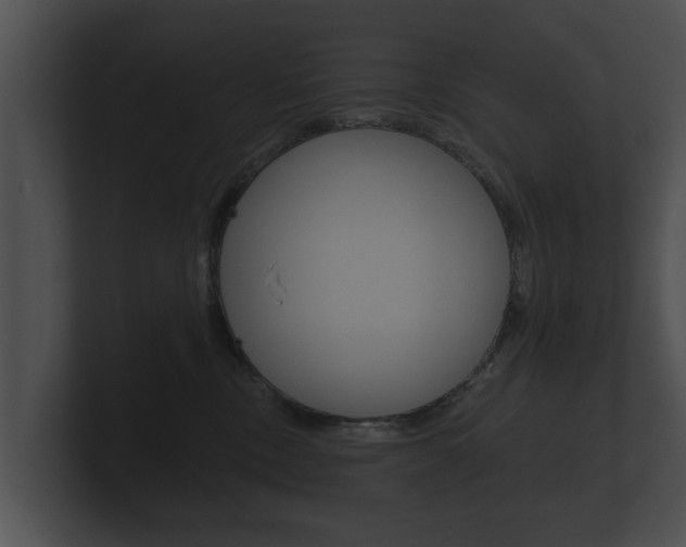 X0000100890378200806241014