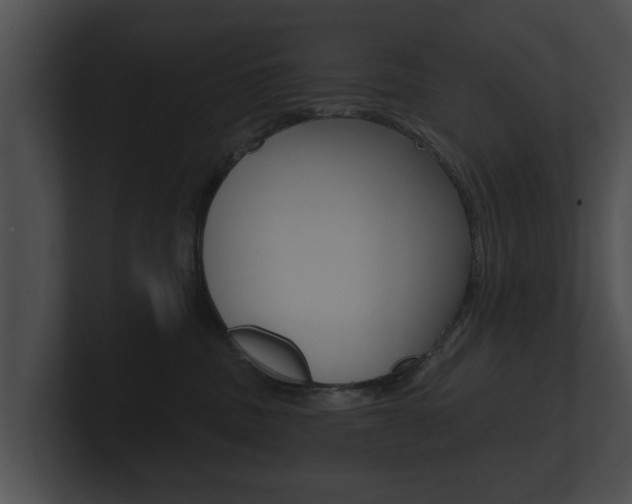 X0000100890379200806241014