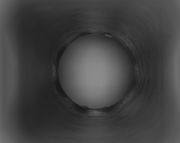 X0000100890380200806241014