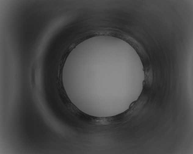 X0000100890381200806241014