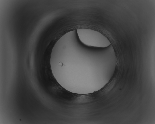 X0000100890382200806241014
