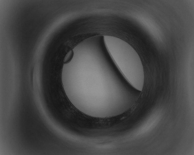 X0000100890383200806241014