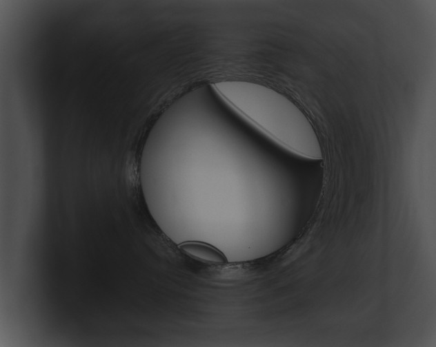 X0000100890384200806241014