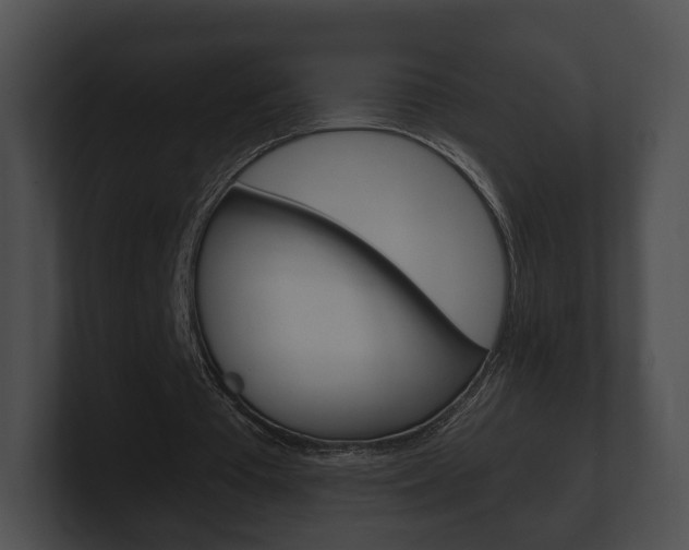 X0000100890385200806241013