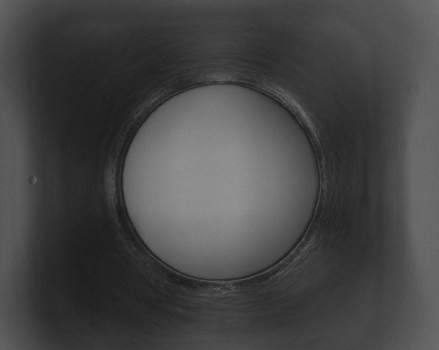 X0000100890386200806241013