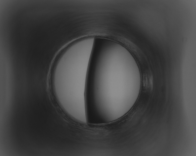 X0000100890388200806241013