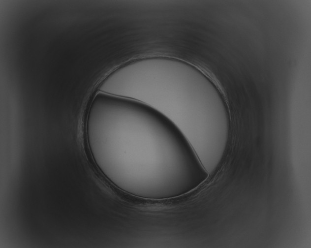 X0000100890389200806241013