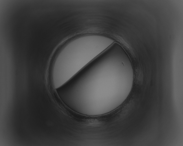X0000100890392200806241013