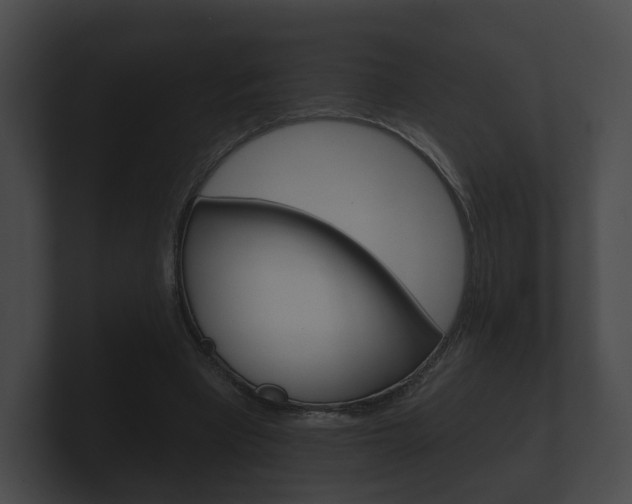X0000100890393200806241013