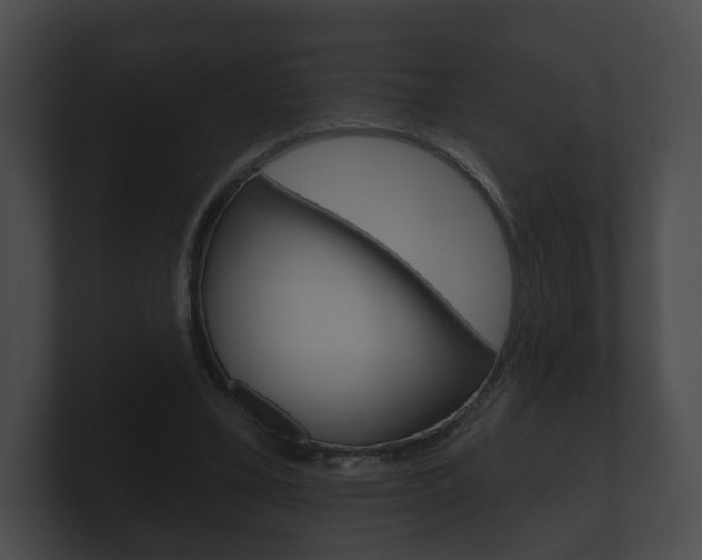 X0000100890395200806241013