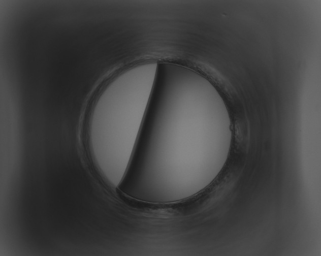 X0000100890396200806241013