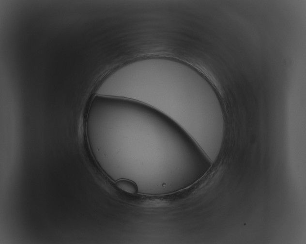 X0000100890397200806241013
