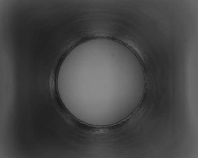 X0000100890398200806241013
